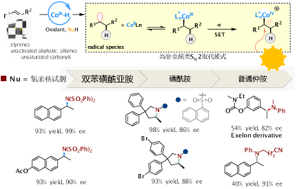 我院张前教授研究团队在钴催化的不对称自由基转化领域取得系列研究进展